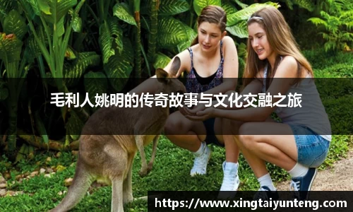 毛利人姚明的传奇故事与文化交融之旅