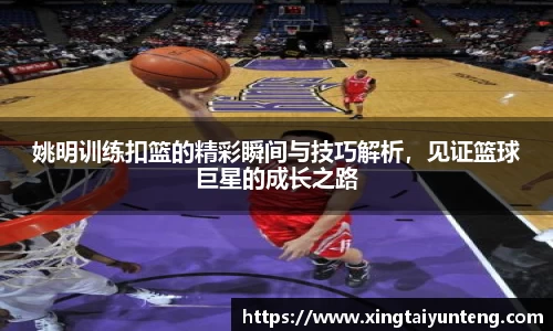 姚明训练扣篮的精彩瞬间与技巧解析，见证篮球巨星的成长之路